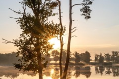 Belversven-Kampina_Els-Oomis_-IMG_4806