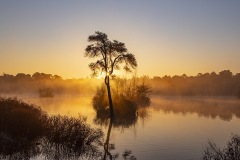 34.-Evelien-Oerlemans-FF_mooiste-plekken-de-oisterwijkse-vennen_Voorste-Goorven_01
