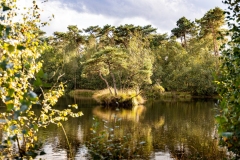 BezoekOisterwijk_5_Bossen-en-Vennen_05