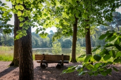 BezoekOisterwijk_EvelienOerlemans_003_DD5A7678_HR