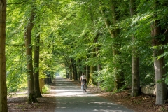 BezoekOisterwijk_EvelienOerlemans_004_Fietser-in-Oisterwijkse-Bossen_DD5A7691_HR