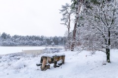 Diaconieven-Oisterwijk-in-Beeld-Els-Oomis