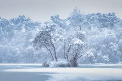 Diaconieven-Yuri-van-den-Bosch