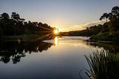 Eschenven-Els-Oomis-2